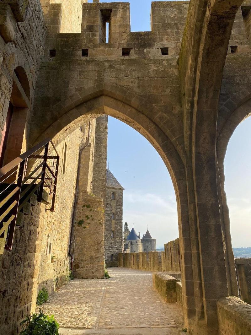 Vue Sur Cite - Spa Carcassone Exterior photo